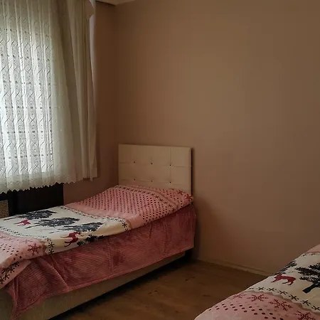 Petek 3 Bursa